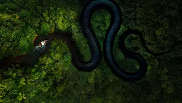 Zasłona к сериалу "Wybrzeże moskitów" #1376329