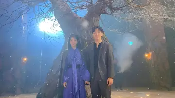 Zasłona к сериалу "Hotel Del Luna" #1454121
