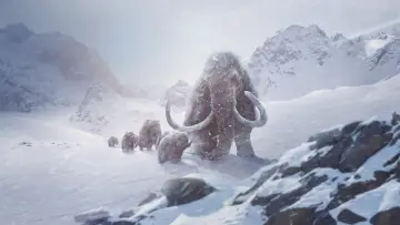 Zasłona к сериалу "Prehistoryczna planeta" #1366880