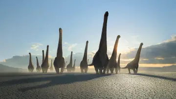 Zasłona к сериалу "Prehistoryczna planeta" #1366883