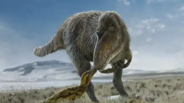 Zasłona к сериалу "Prehistoryczna planeta" #1366888