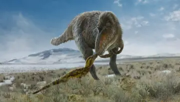 Zasłona к сериалу "Prehistoryczna planeta" #1366889