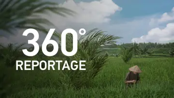Zasłona do serialu "ARTE 360° Reportage" #1363194