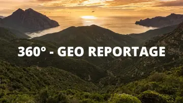 Zasłona do serialu "ARTE 360° Reportage" #1363195