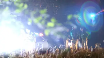 Zasłona do serialu "Cold Case Files" #1510219