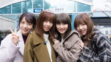 Zasłona do serialu "NOGIBINGO!" #1453024