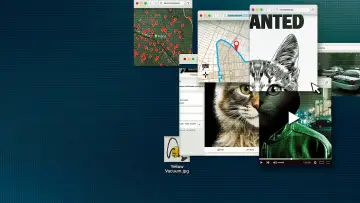 Zasłona к сериалу "Odwal się od kotów: Polowanie na internetowego mordercę" #1461879