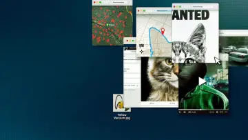 Zasłona к сериалу "Odwal się od kotów: Polowanie na internetowego mordercę" #1461881