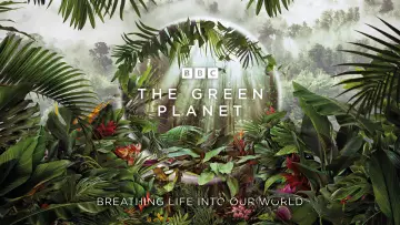 Zasłona do serialu "Zielona planeta" #1602818