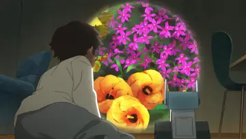 Zasłona do serialu "薄明の翼" #1680663