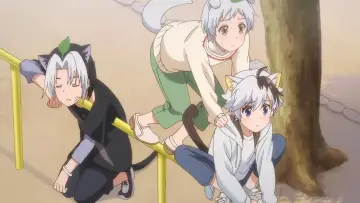Zasłona do serialu "Uchi Tama?! Uchi no Tama Shirimasen ka?" #1688114