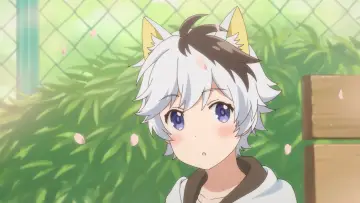 Zasłona do serialu "Uchi Tama?! Uchi no Tama Shirimasen ka?" #1688115