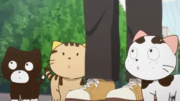 Zasłona do serialu "Uchi Tama?! Uchi no Tama Shirimasen ka?" #1688116