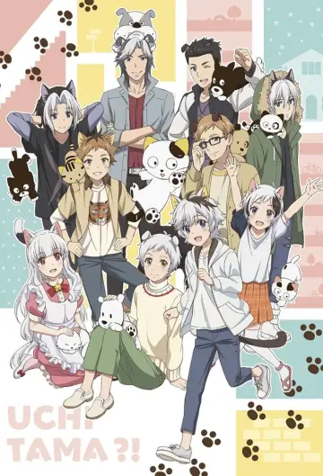 Uchi Tama?! Uchi no Tama Shirimasen ka? plakat