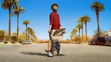 Zasłona к сериалу "DAVE" #1414653