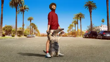 Zasłona к сериалу "DAVE" #1414654