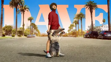 Zasłona к сериалу "DAVE" #1414668