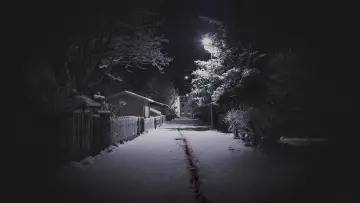 Zasłona к сериалу "The Valhalla Murders" #1449837