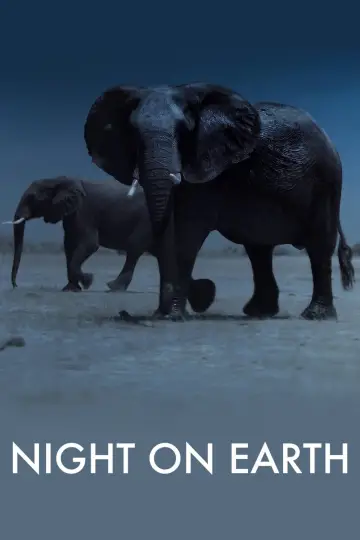 Plakat do serialu "Ziemia nocą" #1464318
