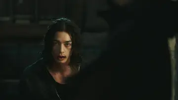 Zasłona к сериалу "Kwiat zła" #1456708