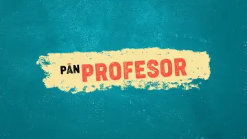 Zasłona do serialu "Pan profesor" #1609142