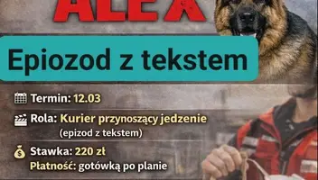 Serial Komisarz Alex