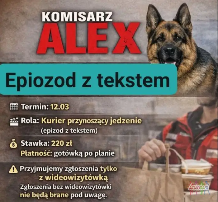 Serial Komisarz Alex