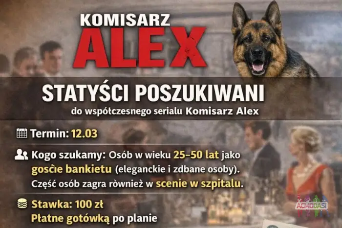 STATYŚCI POSZUKIWANI