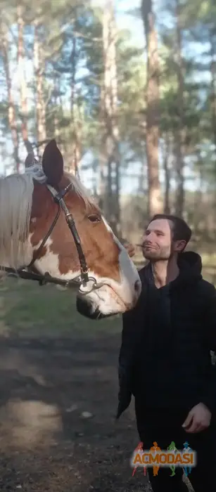 Tomasz  Milejski zdjęcia №1739488. Załadowany 06 Września 2026