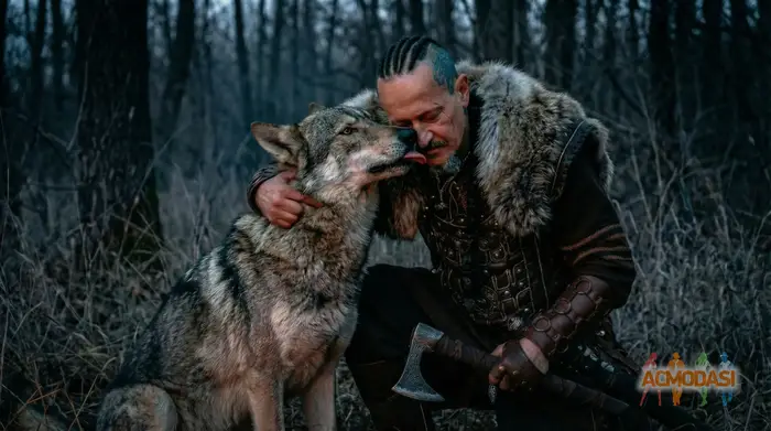 Ragday Oleksandr Viktorovich Tymofieiev zdjęcia №1738902. Załadowany 07 Stycznia 2026