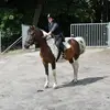 Zdjęcie #1739391 